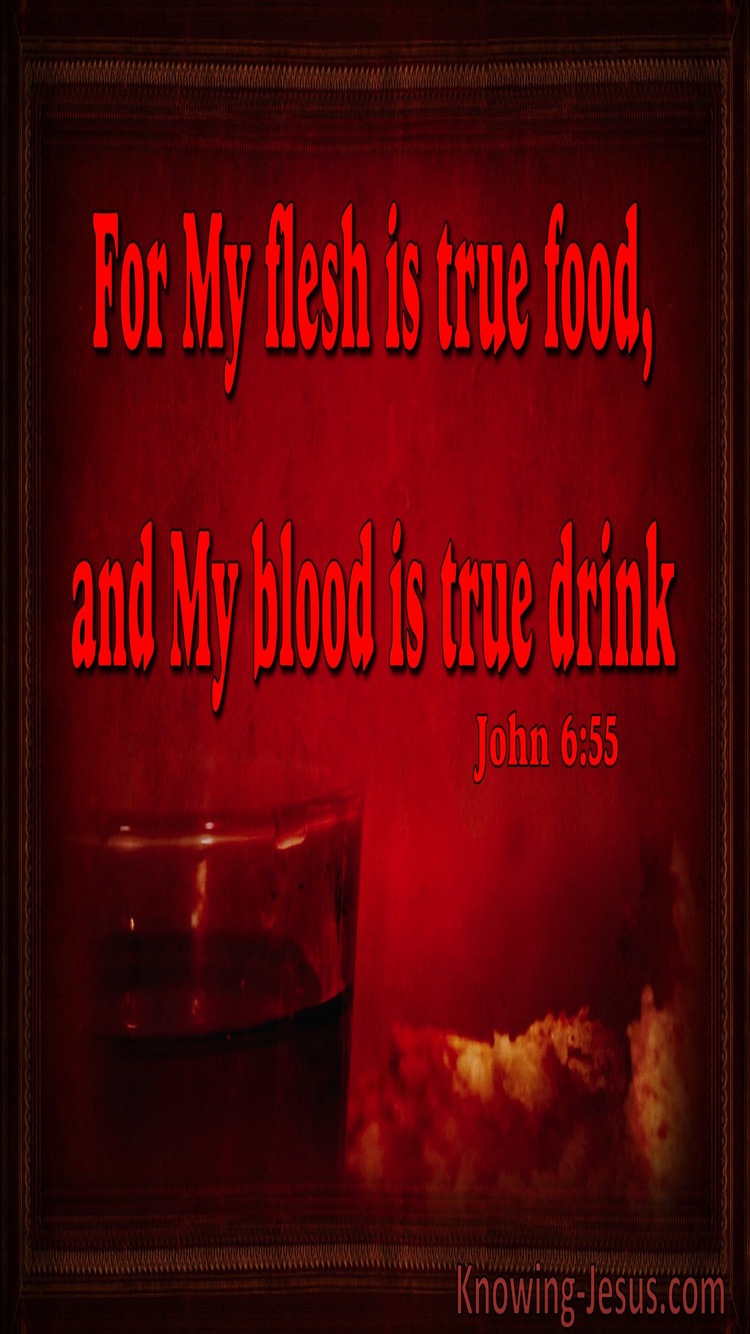 John 6:55 My Flesh Is True Food (maroon)